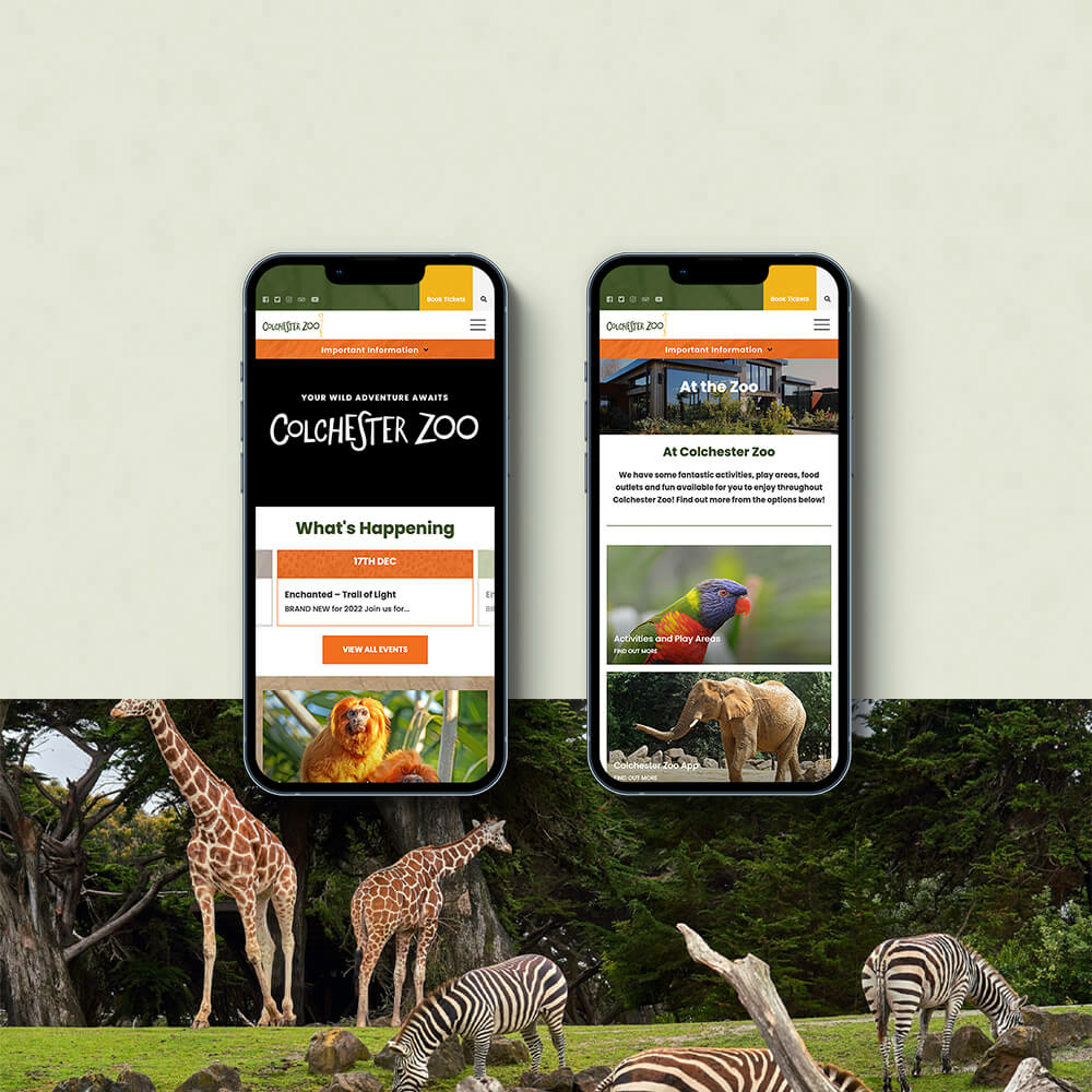 Colchester Zoo website | Logic Design, Web Design Agency